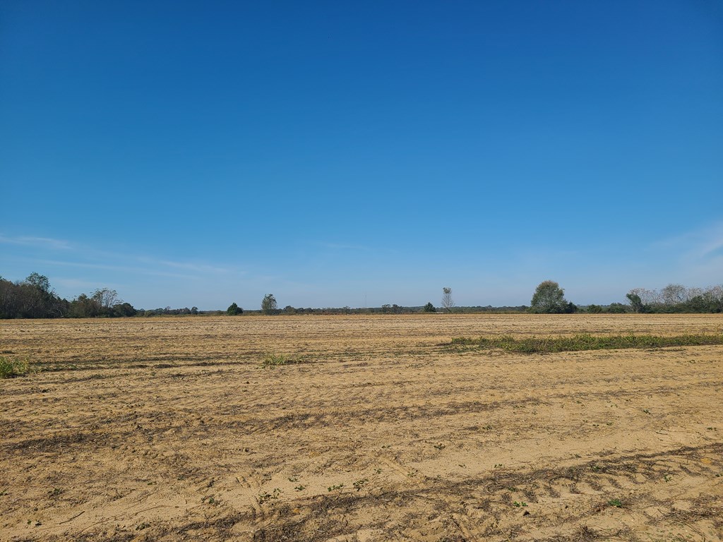 429 Summer Road Slocomb, AL 36375 - Photo 3 of 8
