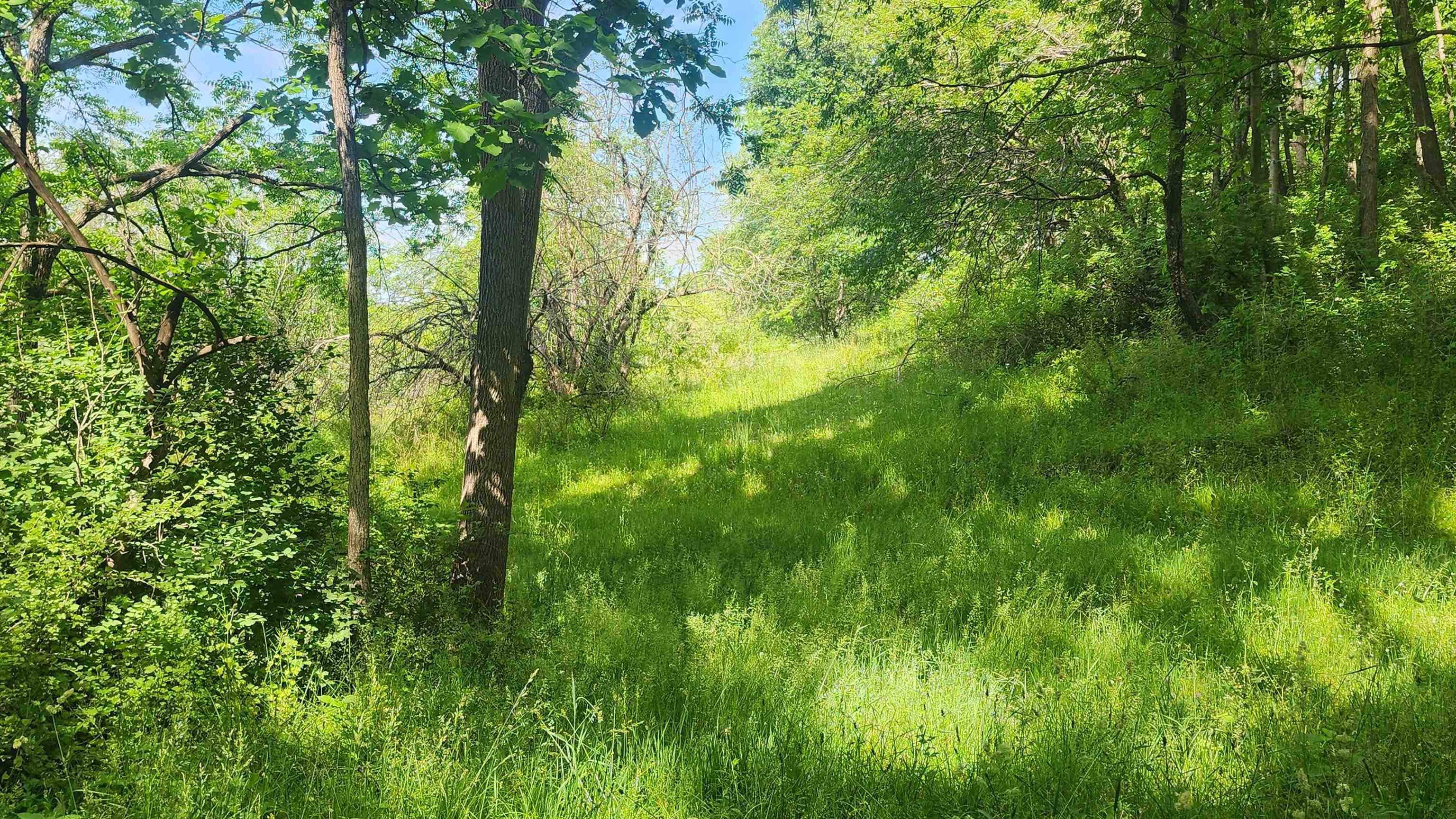0 Shortcut Seneca, WI 54654 - Photo 13 of 22
