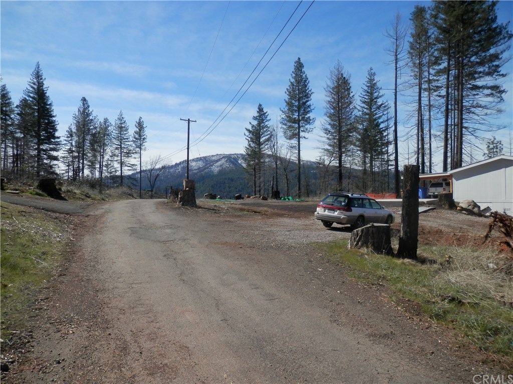 14786 Grouse Road Cobb, CA 95426 - Photo 6 of 10 Road in front of propety