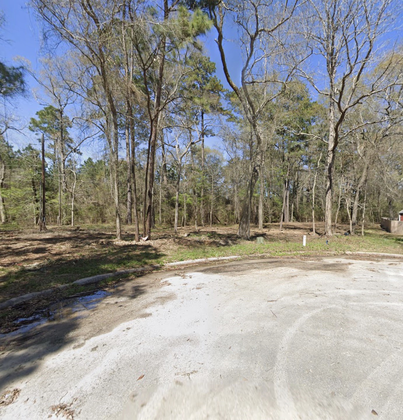 25789 Tupelo Circle Splendora, TX 77372 - Photo 2 of 5 a view of a yard with large trees