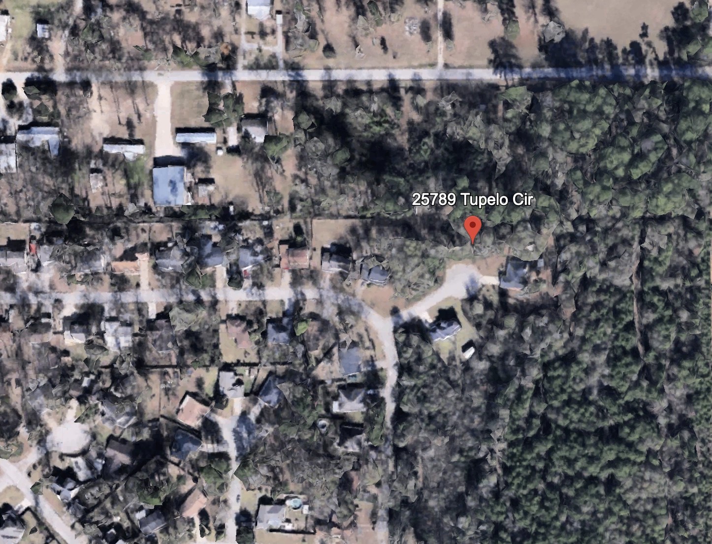 25789 Tupelo Circle Splendora, TX 77372 - Photo 4 of 5 a picture of a house