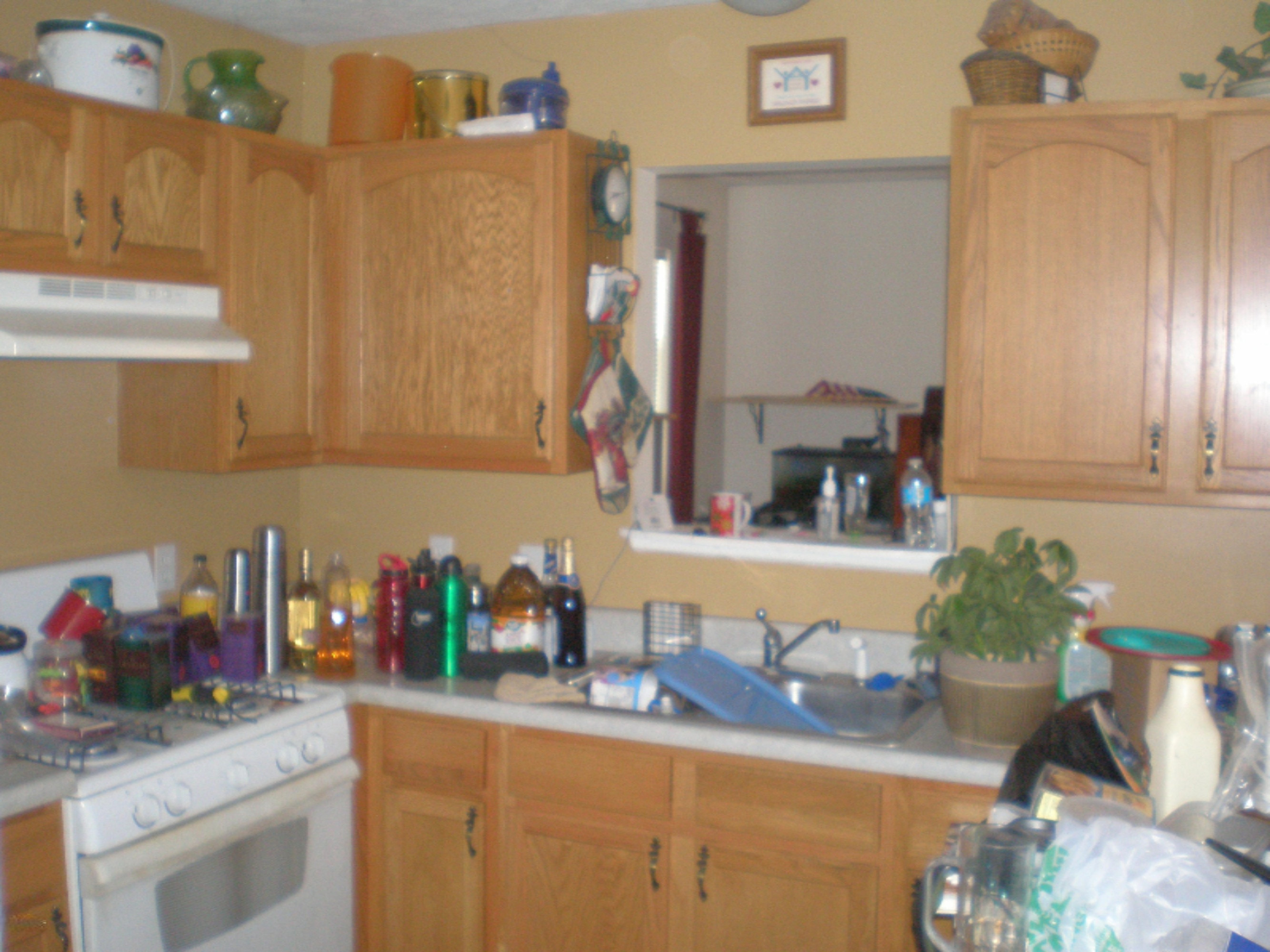 807 Bowes Road Lowell, MI 49331 - Photo 2 of 4 PA260462