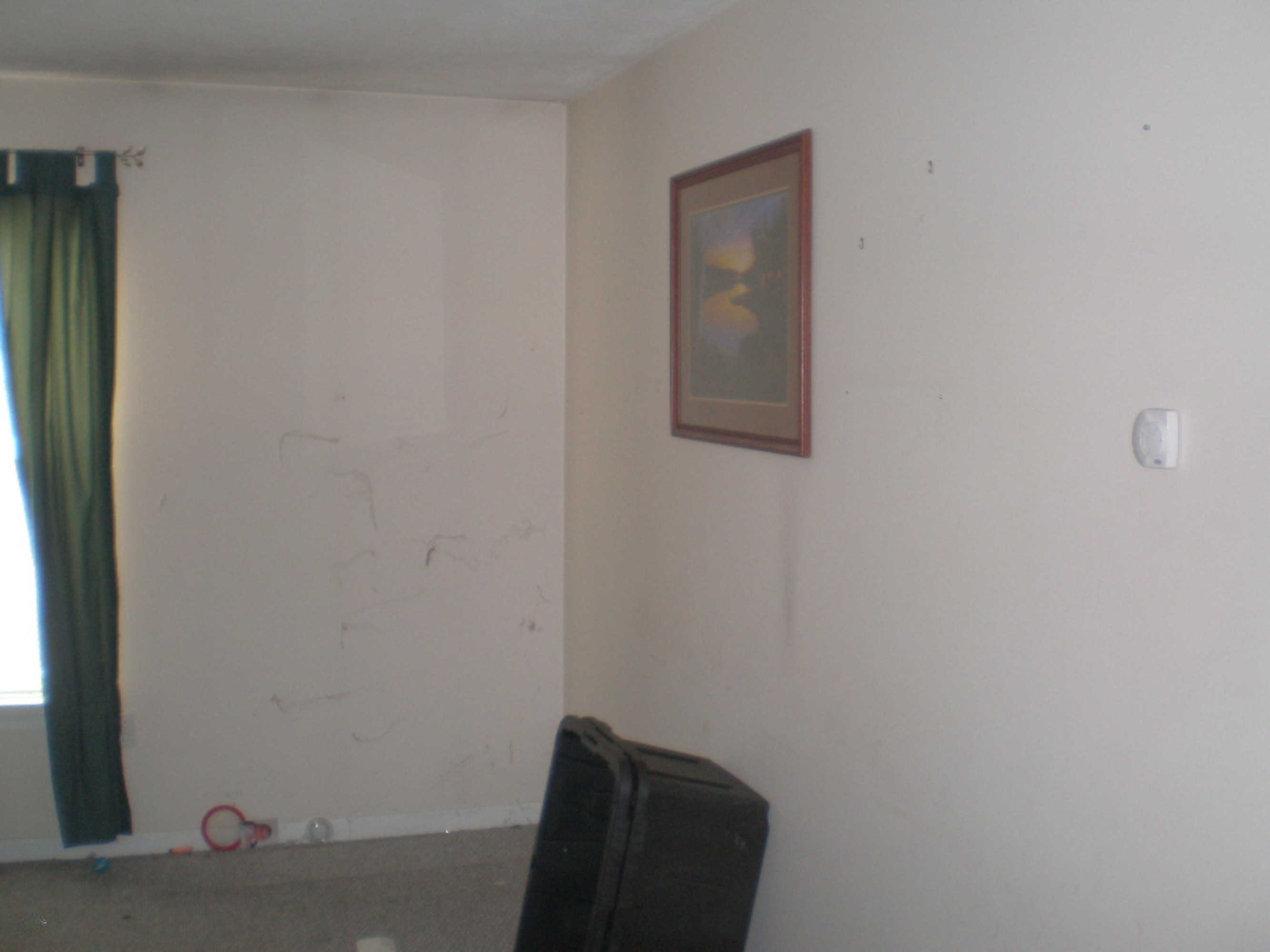 807 Bowes Road Lowell, MI 49331 - Photo 3 of 4 PA260461