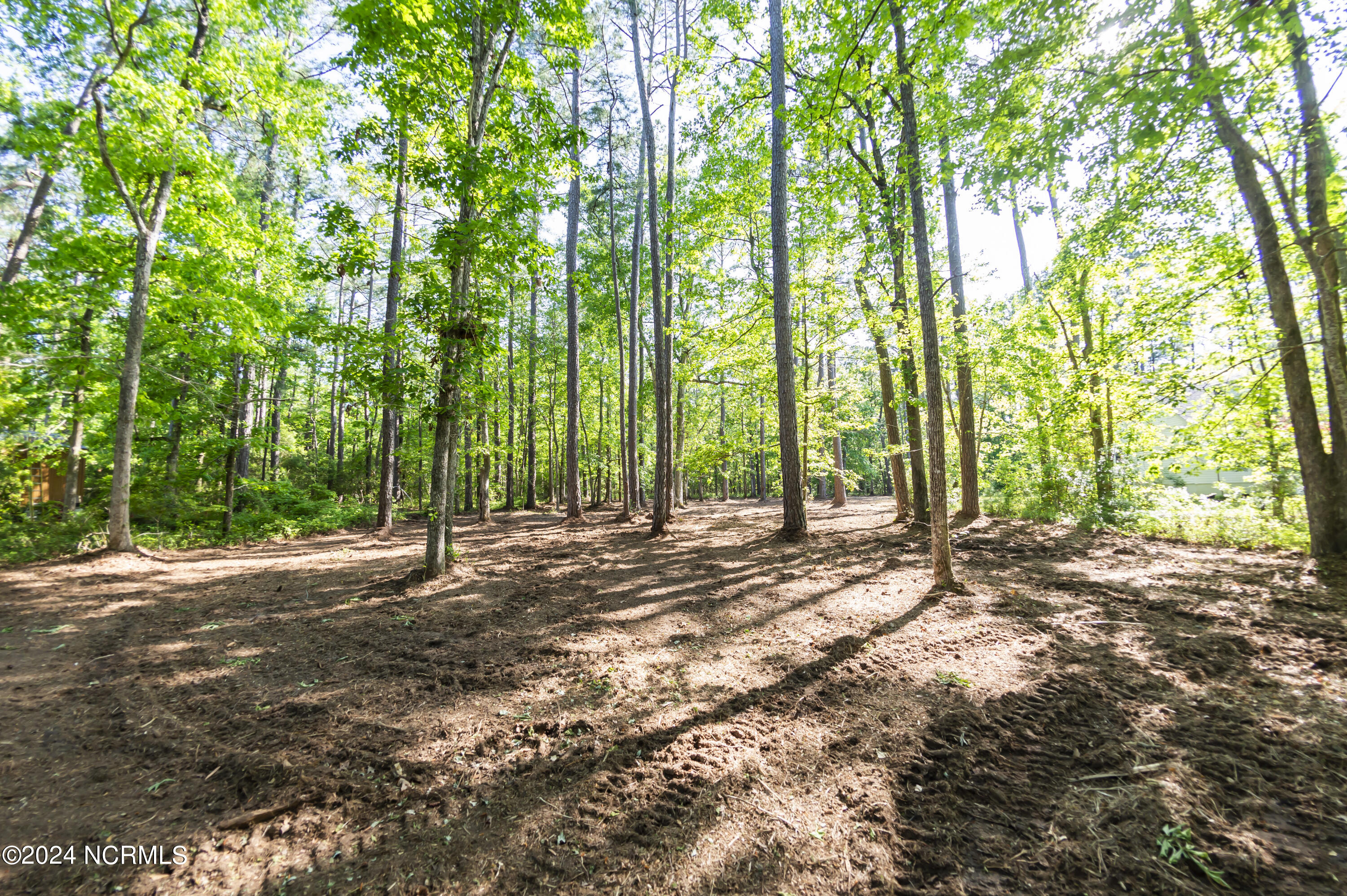 109 Spinnaker Point Road North Oriental, NC 28571 - Photo 8 of 18 Existing Septic System Installed