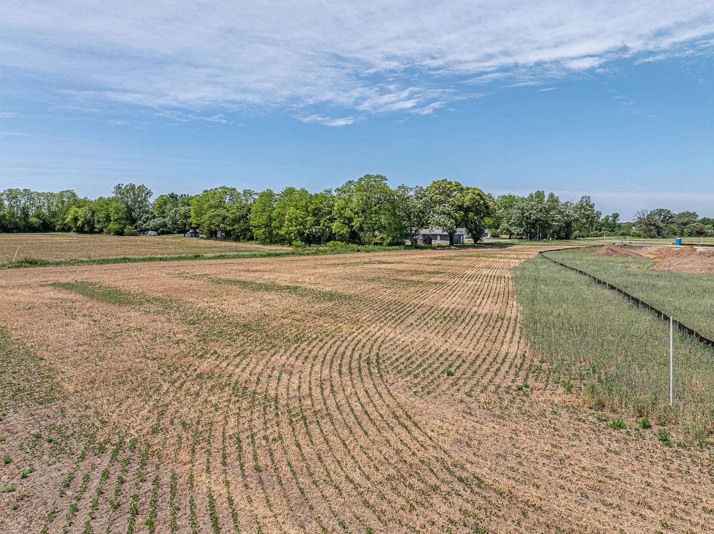 Lot 3 Rosevale Belleville, WI 53508 - Photo 14 of 43