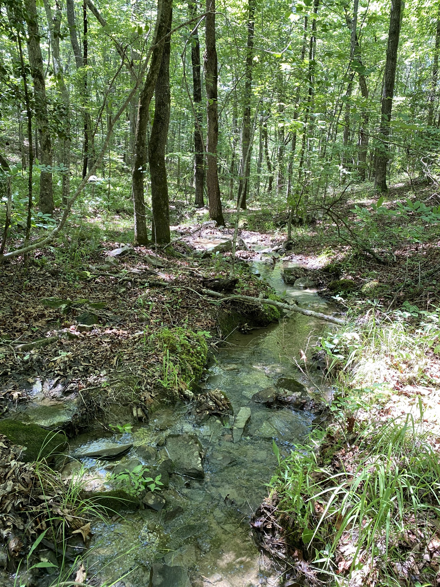 118 Cherokee Road Spencer, TN 38585 - Photo 61 of 85 a view of outdoor space and trees