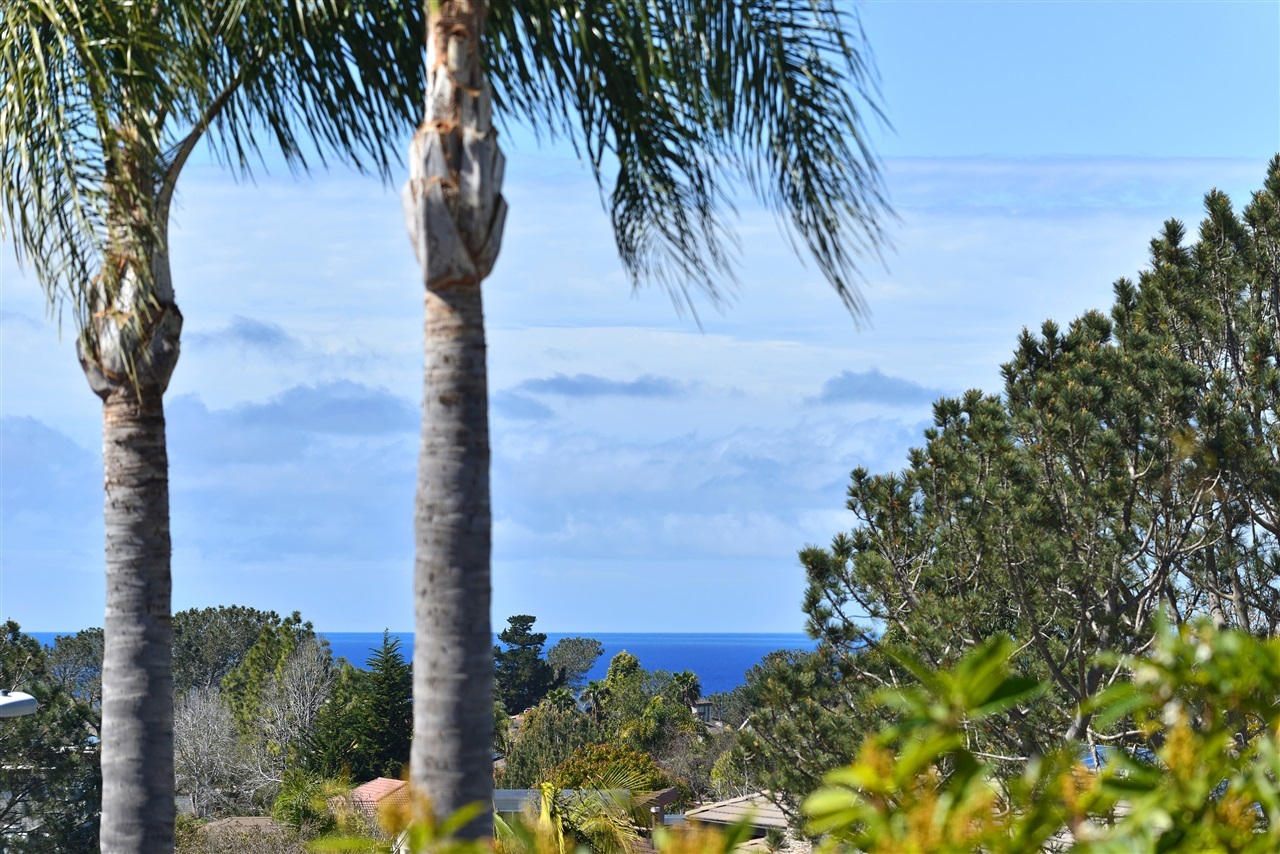 2575 Cordero Road Del Mar, CA 92014 - Photo 9 of 24 Gallery Image 9