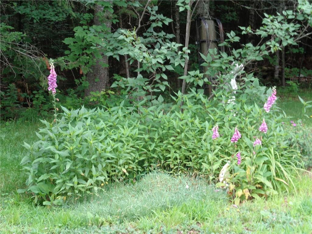 172 Chandler Road Dover-Foxcroft, ME 04426 - Photo 17 of 28 Photo