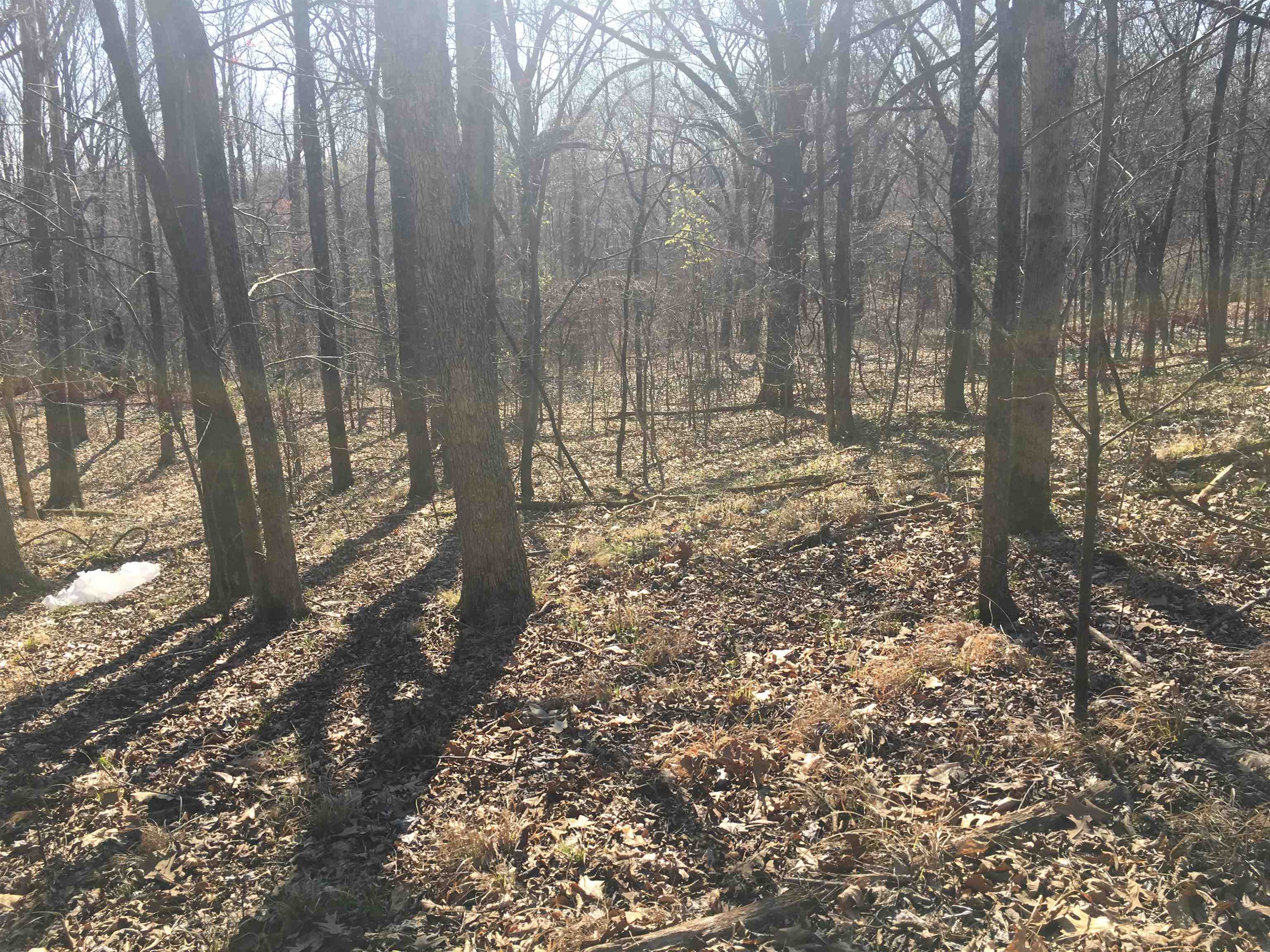 4048 Brunswick Road Bartlett, TN 38133 - Photo 3 of 7 Gallery Image 3