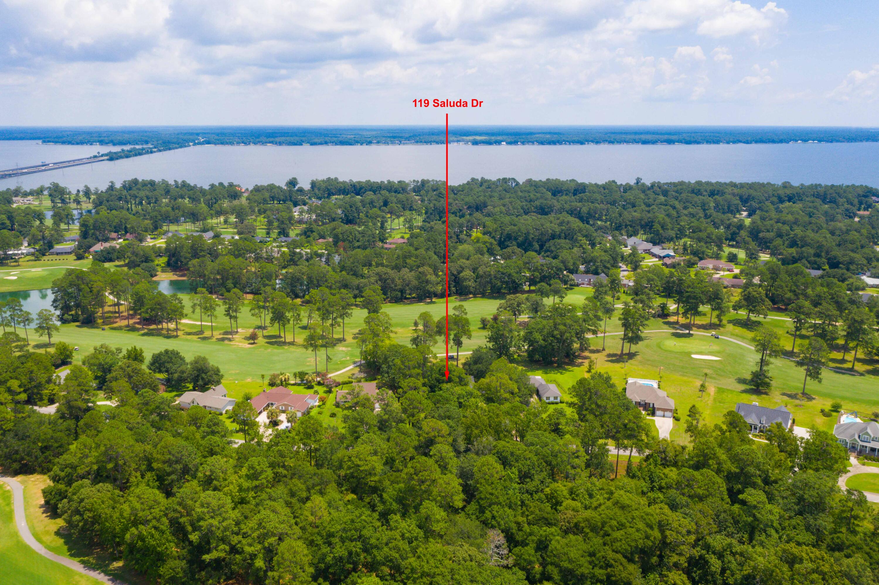 119 Saluda Drive Santee, SC 29142 - Photo 2 of 61 DJI_0904