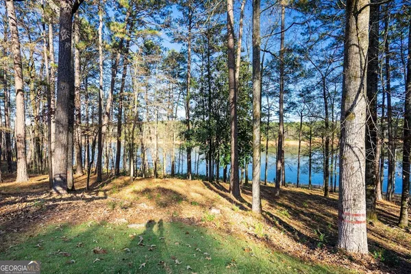 a view of a backyard with large trees