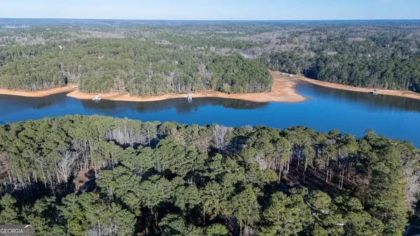 a view of a lake with a mountain in the background