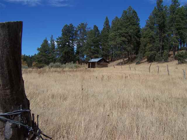 2310 Alpine Az 85920 Blue, AZ 85922 - Photo 1 of 9