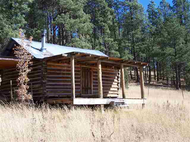 2310 Alpine Az 85920 Blue, AZ 85922 - Photo 2 of 9