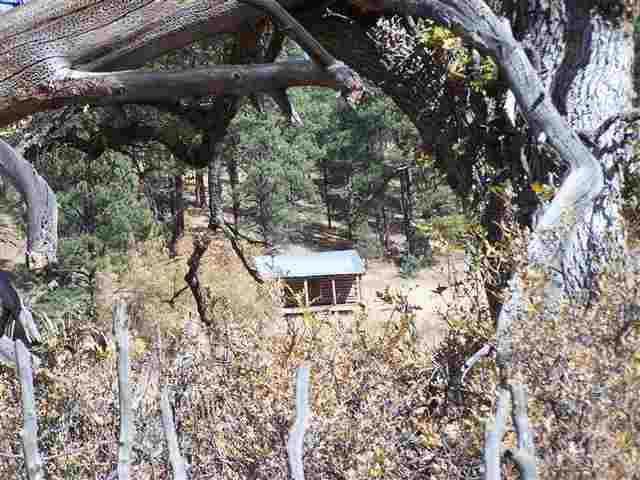 2310 Alpine Az 85920 Blue, AZ 85922 - Photo 5 of 9