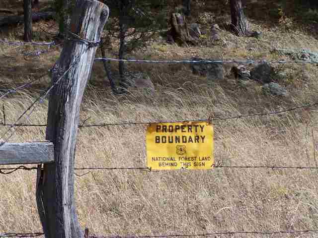 2310 Alpine Az 85920 Blue, AZ 85922 - Photo 6 of 9