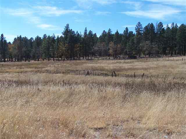 2310 Alpine Az 85920 Blue, AZ 85922 - Photo 7 of 9