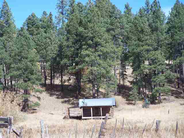 2310 Alpine Az 85920 Blue, AZ 85922 - Photo 9 of 9