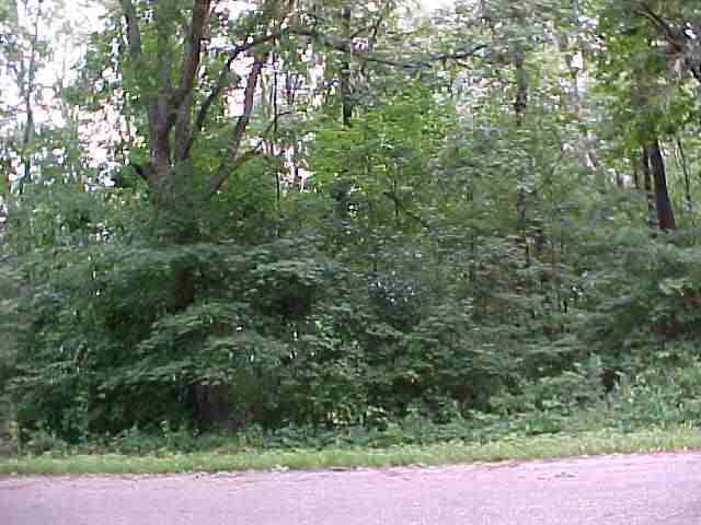 3-4 Timber Ridge Magnolia, IL 61336 - Photo 1 of 1 Gallery Image 1