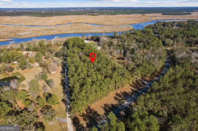 $250,000 | 0 Oscar Road, White Oak, GA 31568