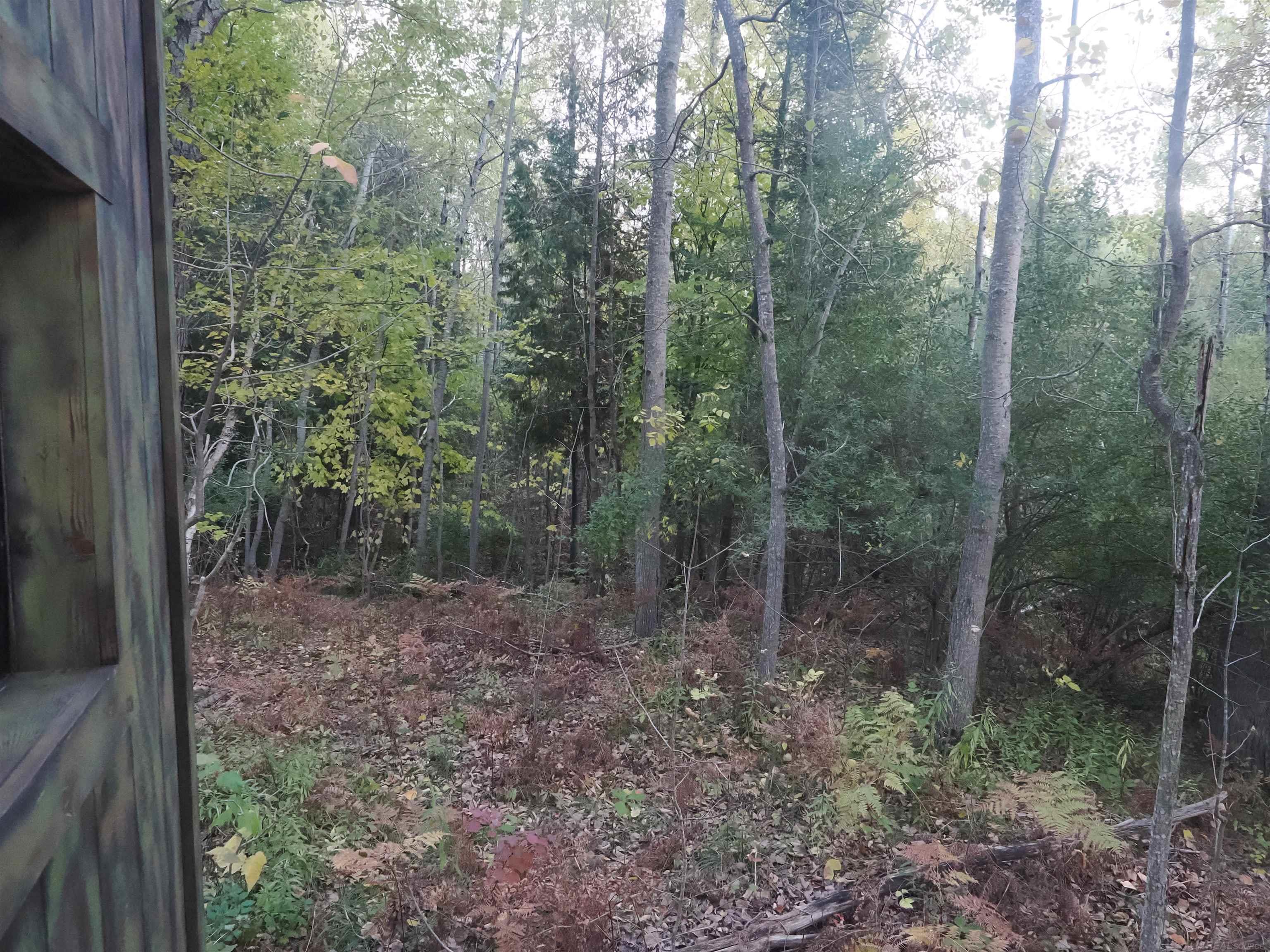 Xxx Tolan Road Spruce, MI 48762 - Photo 71 of 79