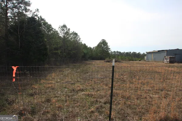 a view of a dirt road with trees in the background