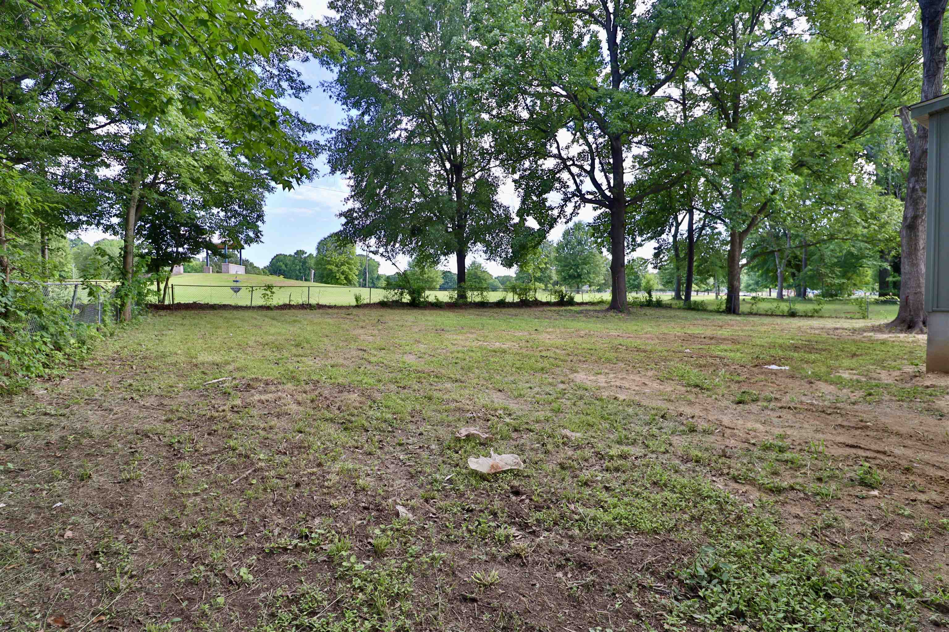 224 Kellar Avenue Ripley, TN 38063 - Photo 2 of 35 a view of a big yard with trees