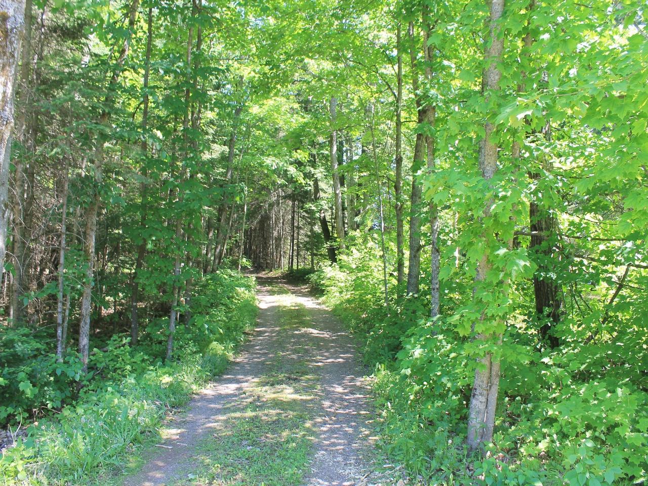 8052 Flandrena Road Hurley, WI 54534 - Photo 26 of 36 Gallery Image 26