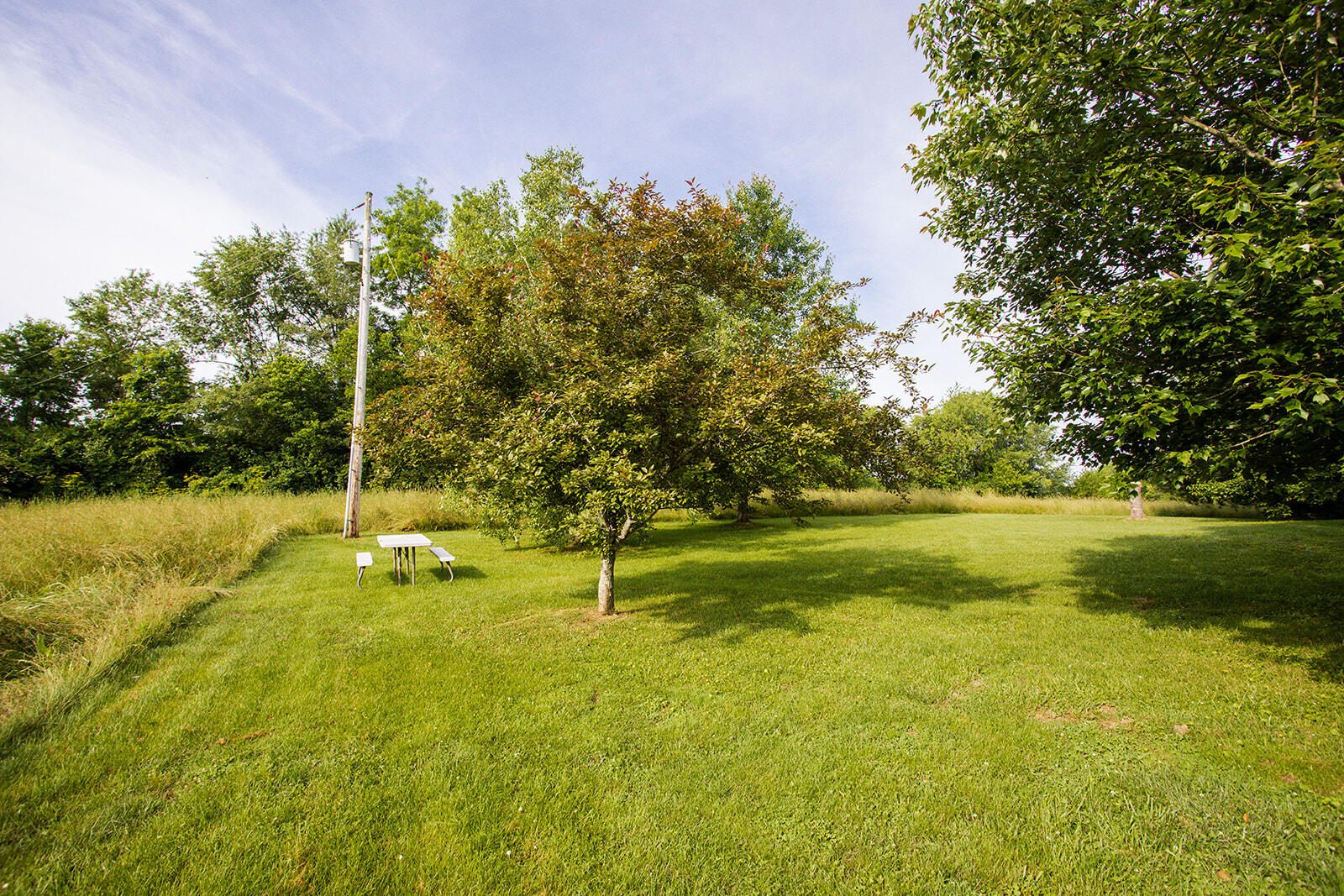 3076 Thomson Station Road Winchester, KY 40391 - Photo 11 of 58 8G1A8898_websize
