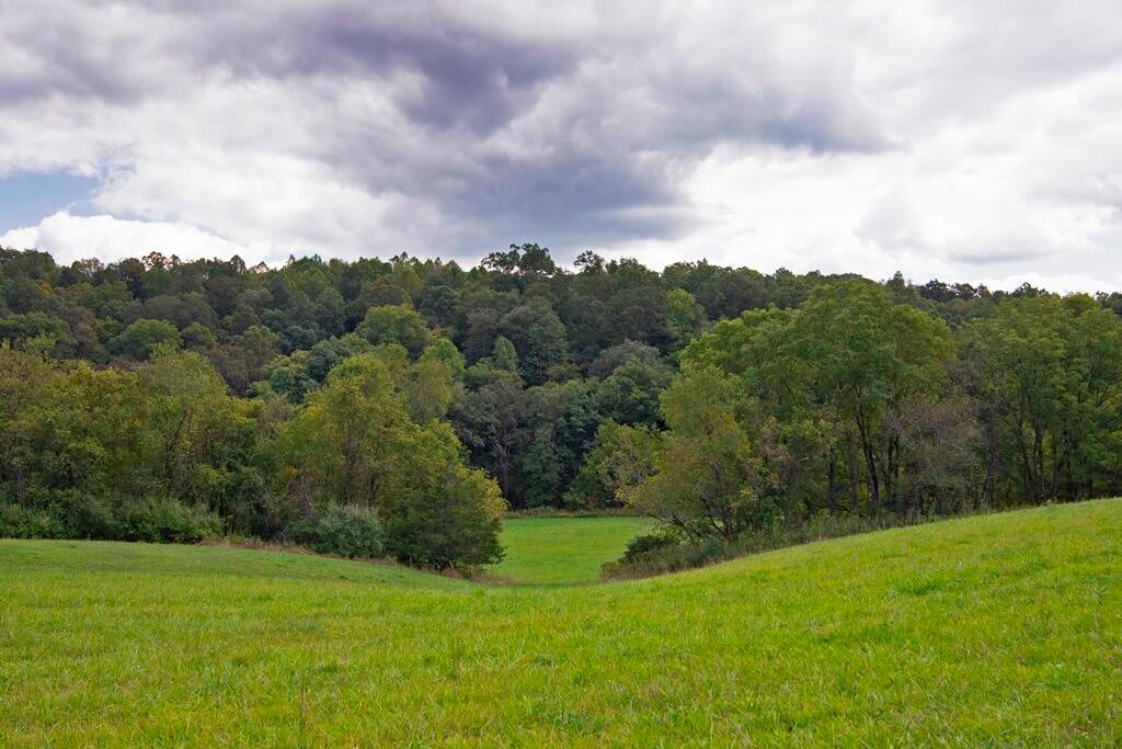 Seneca Trail Union Lindside, WV 24951 - Photo 33 of 50 Gallery Image 33