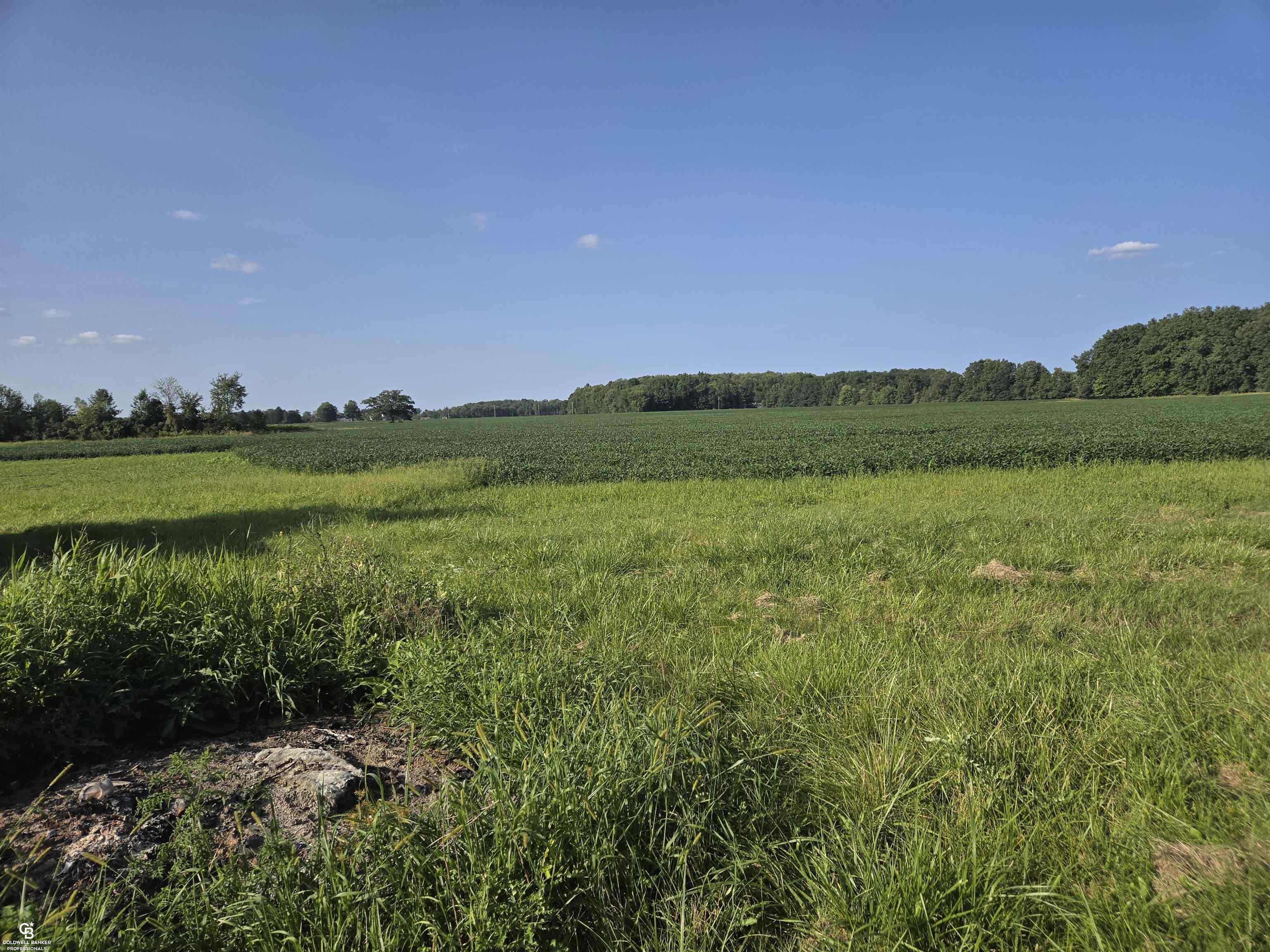 0 Fargo Vl Road Avoca, MI 48006 - Photo 5 of 11