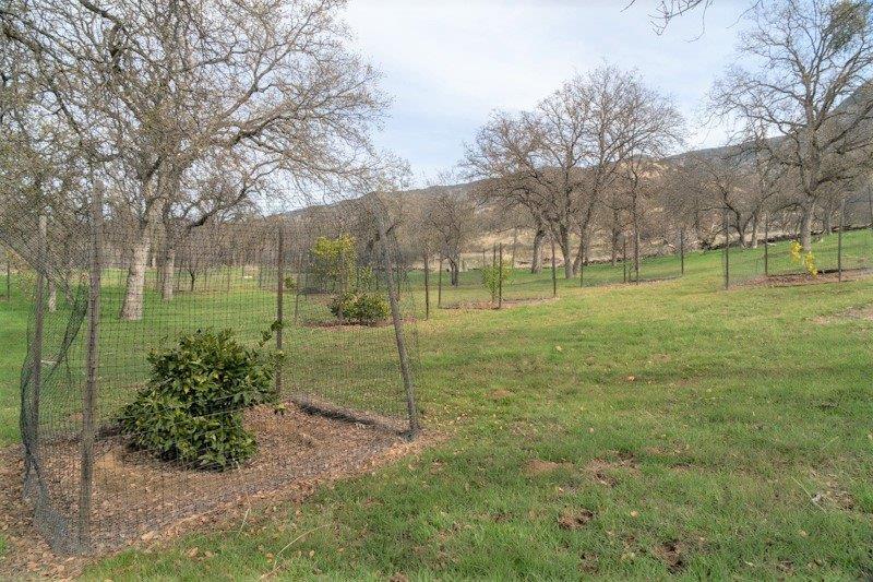 44511 Buckhorn Trail Three Rivers, CA 93271 - Photo 30 of 33 Additional Photo
