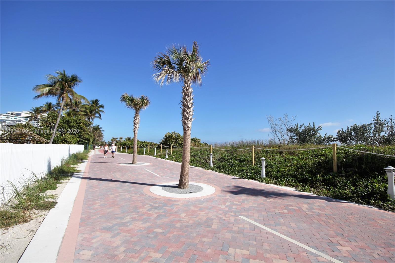 5161 Collins Avenue, Unit 806 Miami Beach, FL 33140 - Photo 40 of 52 a view of a garden with a bench