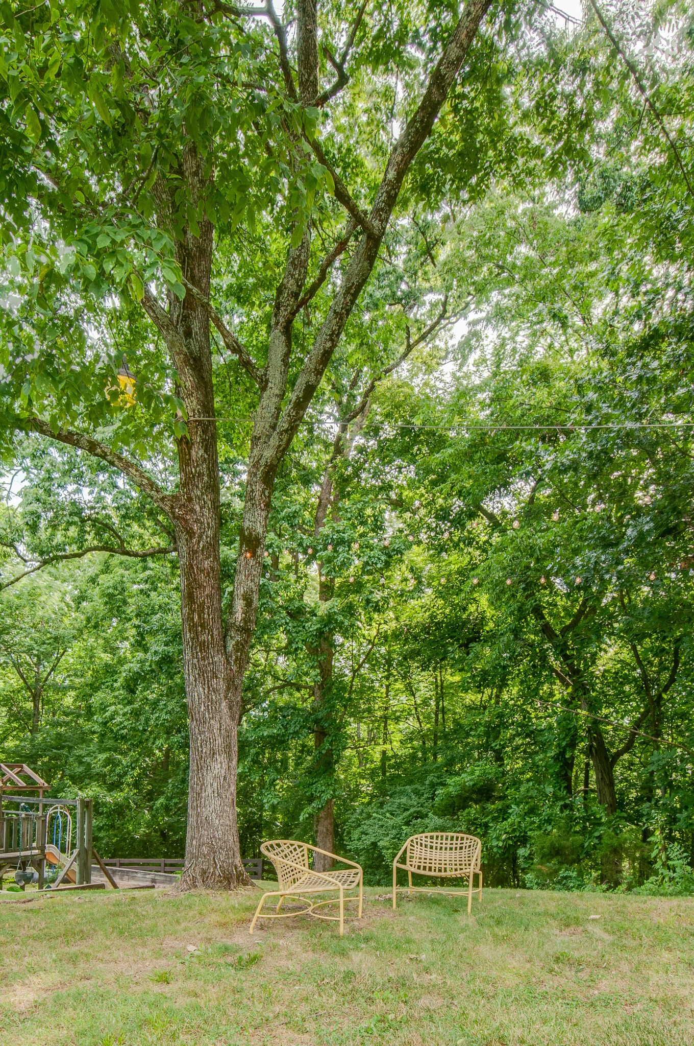 937 Cherry Grove Road Nashville, TN 37221 - Photo 52 of 54 Gallery Image 52