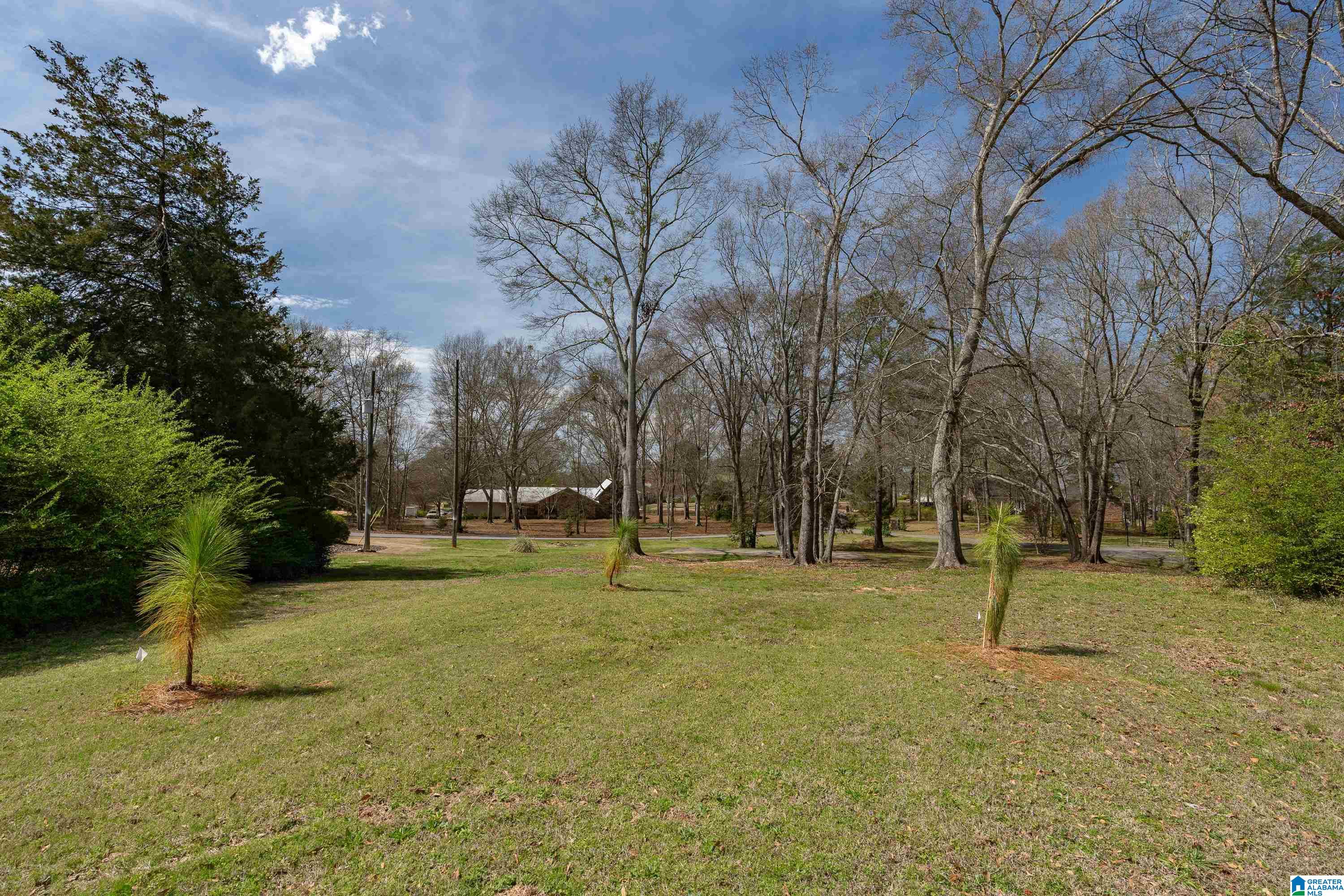 0 Pine Harbor Road, Unit 7 Pell City, AL 35128 - Photo 17 of 17 Gallery Image 17