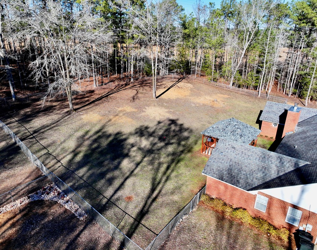 2894 McKee Road Upatoi, GA 31829 - Photo 48 of 60 Aerial Back yard