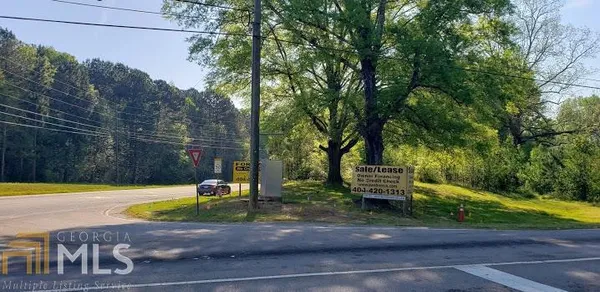 a view of a park with large trees