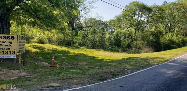 a view of a yard with plants