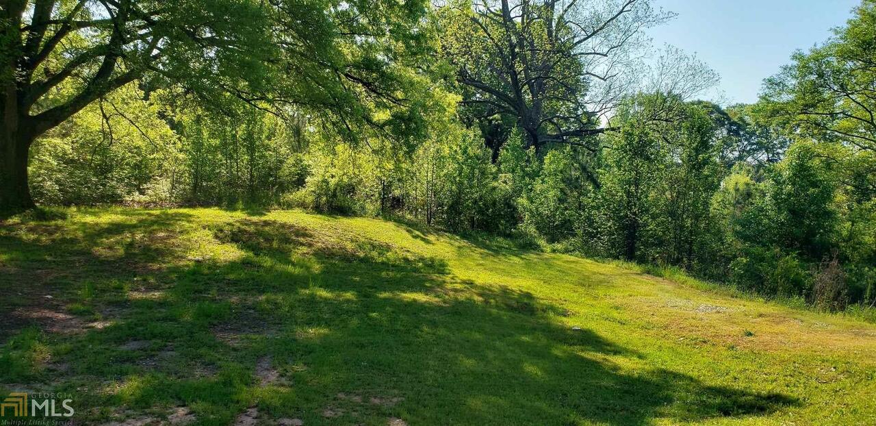 1847 Flippen Road Stockbridge, GA 30281 - Photo 6 of 8 a view of yard with green space