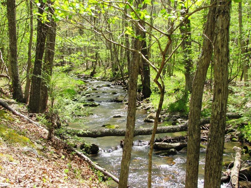 329 Trout Run Road Waiteville, WV 24984 - Photo 3 of 91 Gallery Image 3