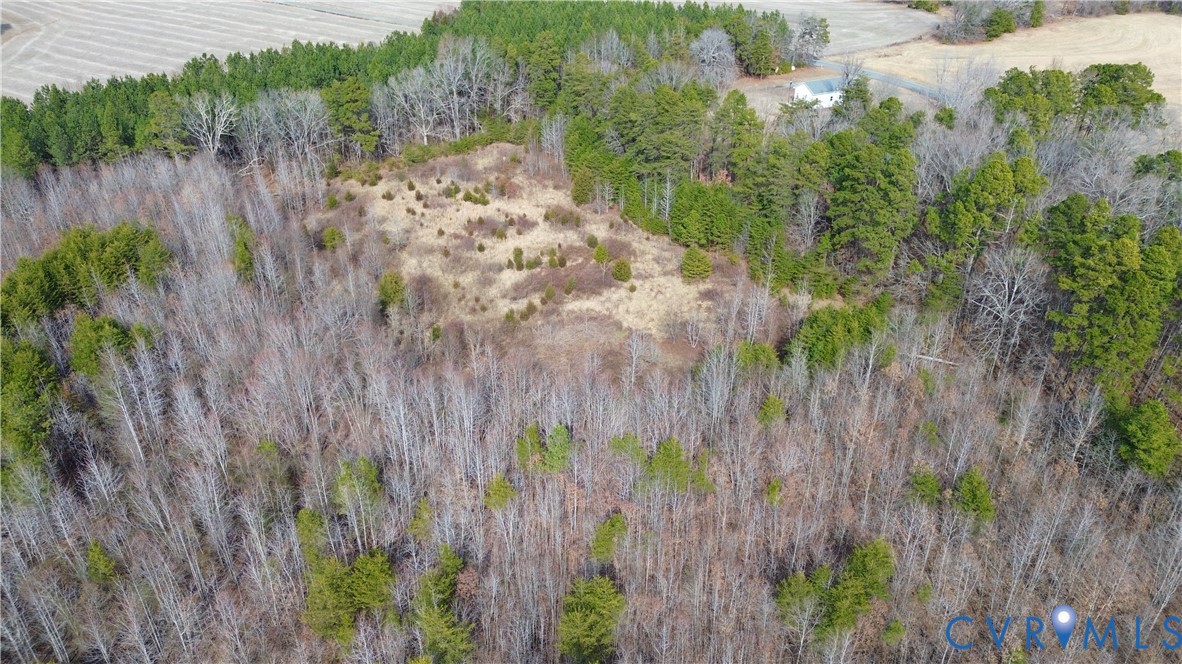 0 West Store Road Nathalie, VA 24577 - Photo 19 of 20 Gallery Image 19