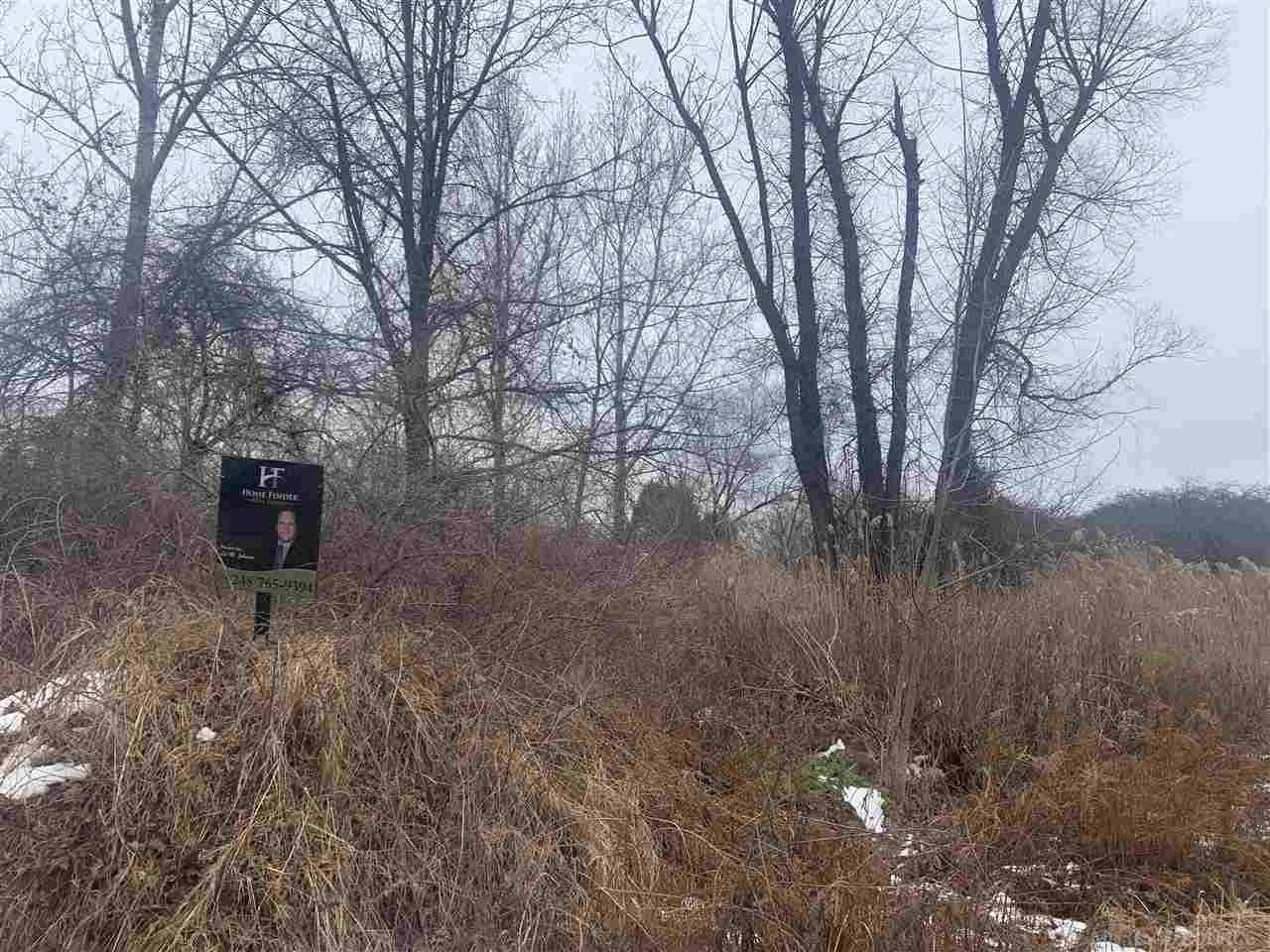 0 Weyer Romeo, MI 48065 - Photo 3 of 6