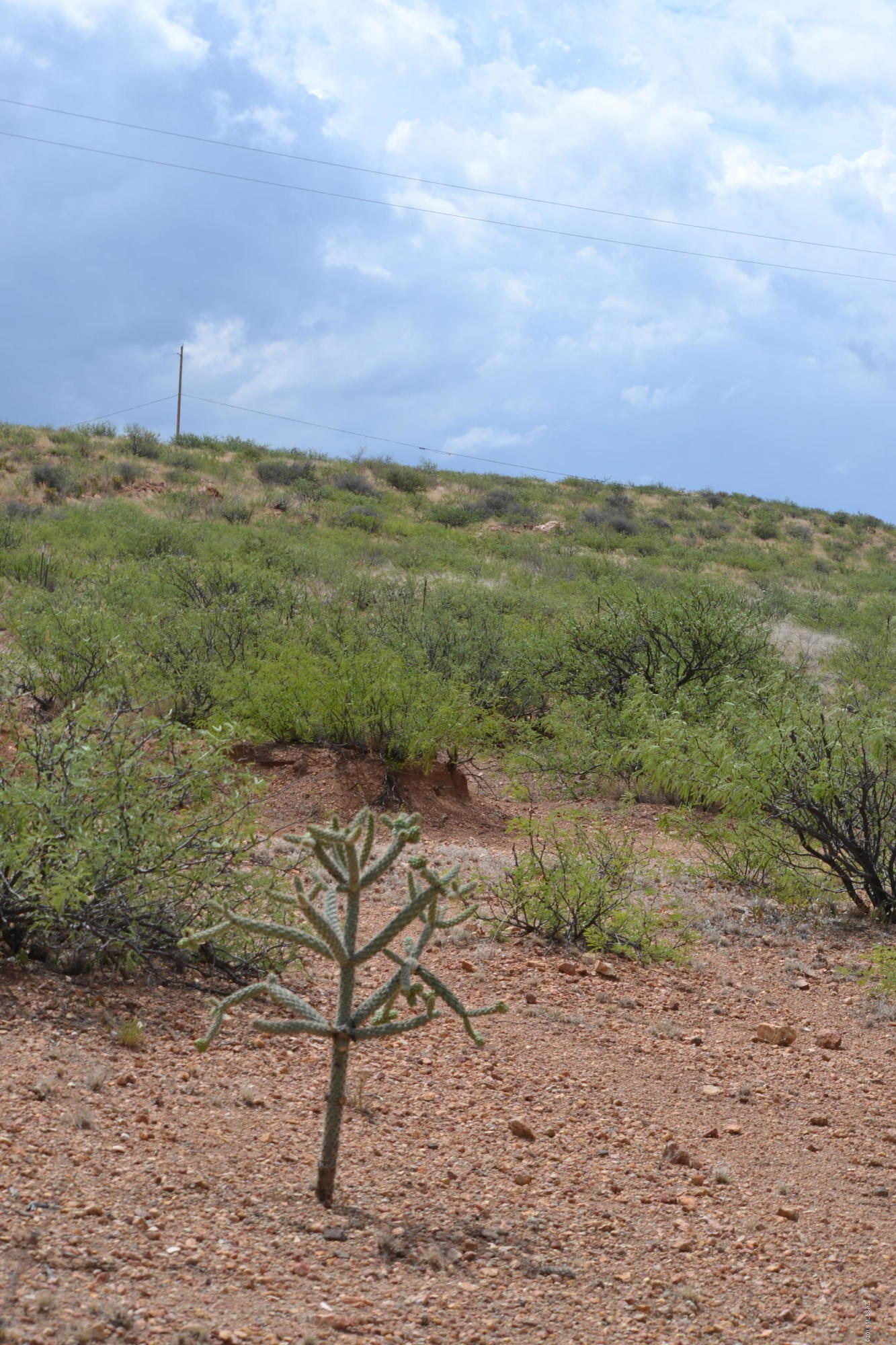 Tbd Indian Creek Road Douglas, AZ 85607 - Photo 19 of 21