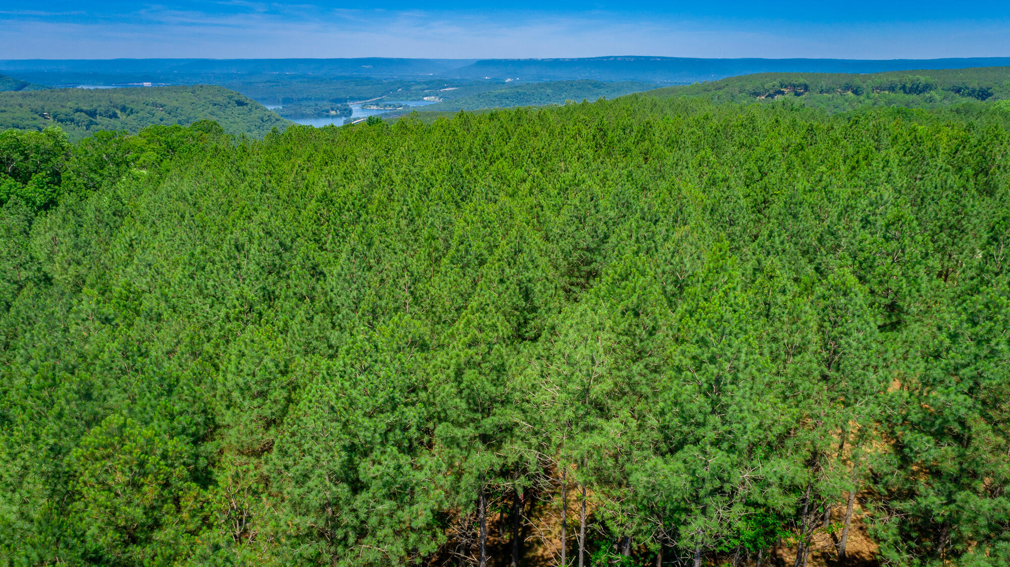 0 Split Rail Way, Unit LOT 1163 Guild, TN 37340 - Photo 64 of 118 River Gorge Lot 1163 HD-70
