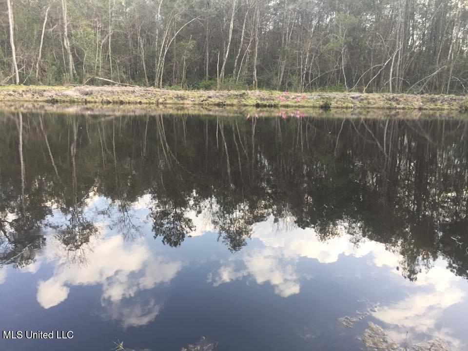 1127 Highway 29 Wiggins, MS 39577 - Photo 11 of 20 Photo Apr 10, 10 42 06 AM