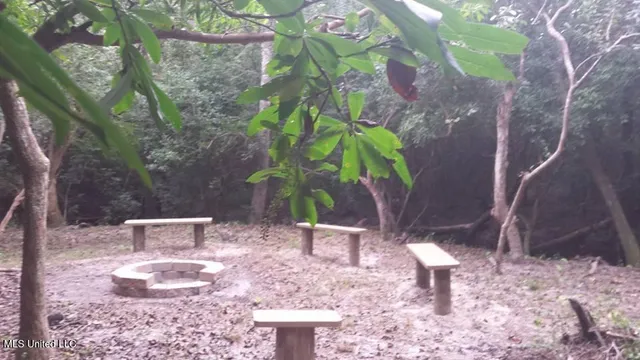 $550,000 | 1127 Highway 29, Wiggins, MS 39577