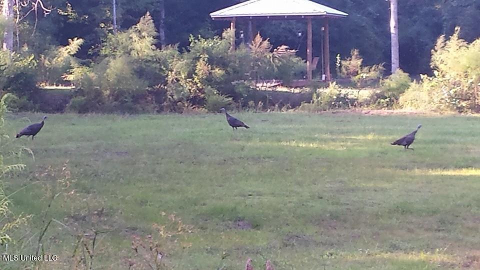 1127 Highway 29 Wiggins, MS 39577 - Photo 13 of 20 Photo Apr 10, 10 42 14 AM