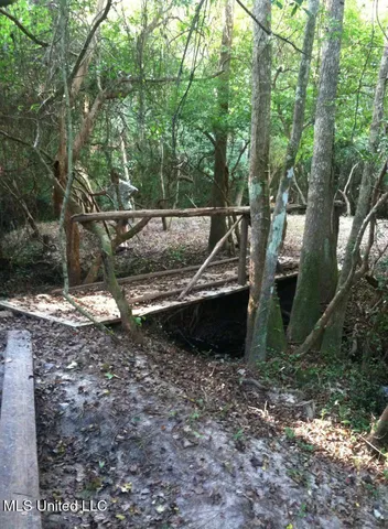 $550,000 | 1127 Highway 29, Wiggins, MS 39577