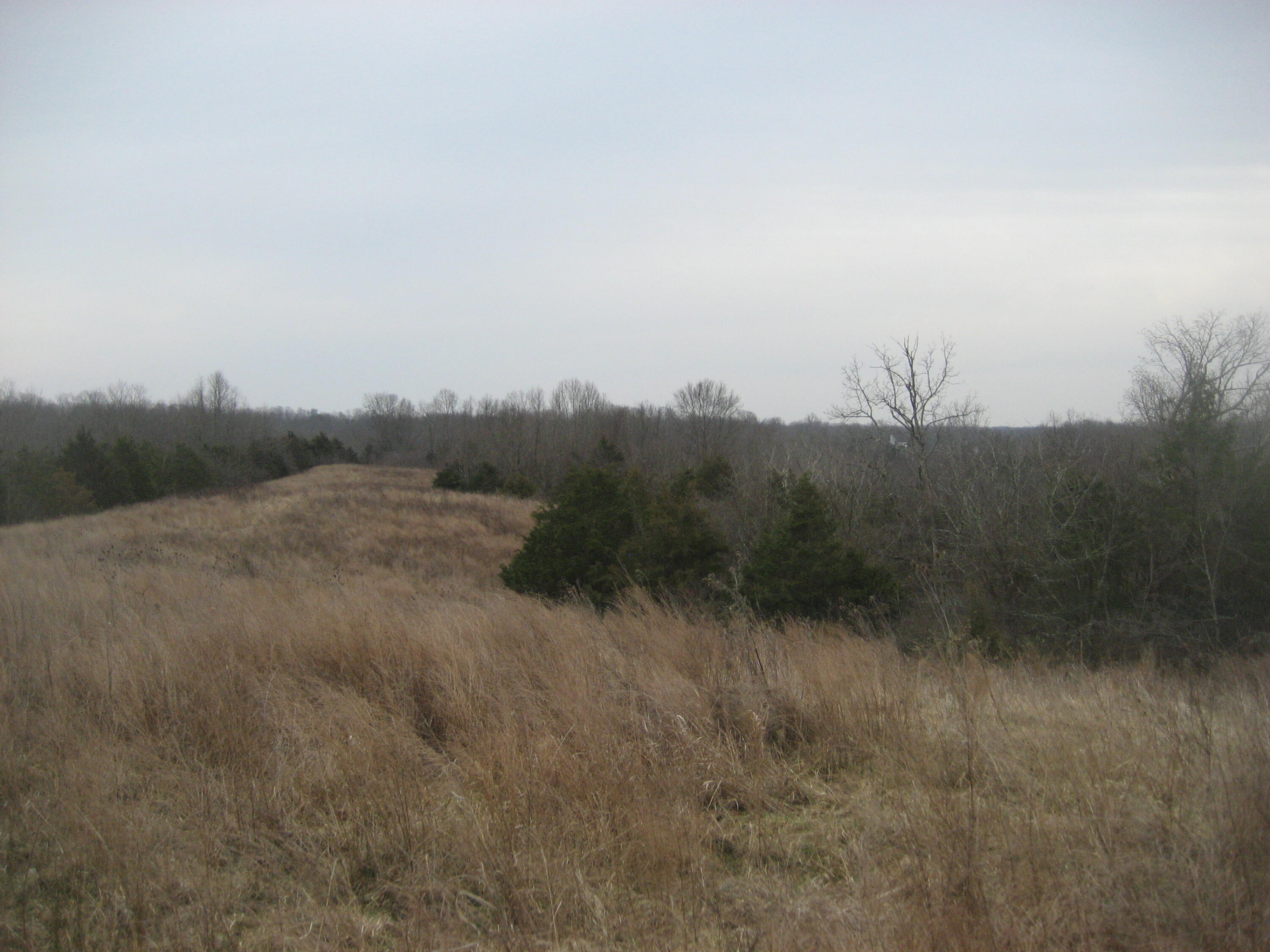 1235 Rutherford School Road Lawrenceburg, KY 40342 - Photo 5 of 31 IMG_1344