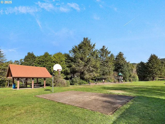 a view of a park with large trees